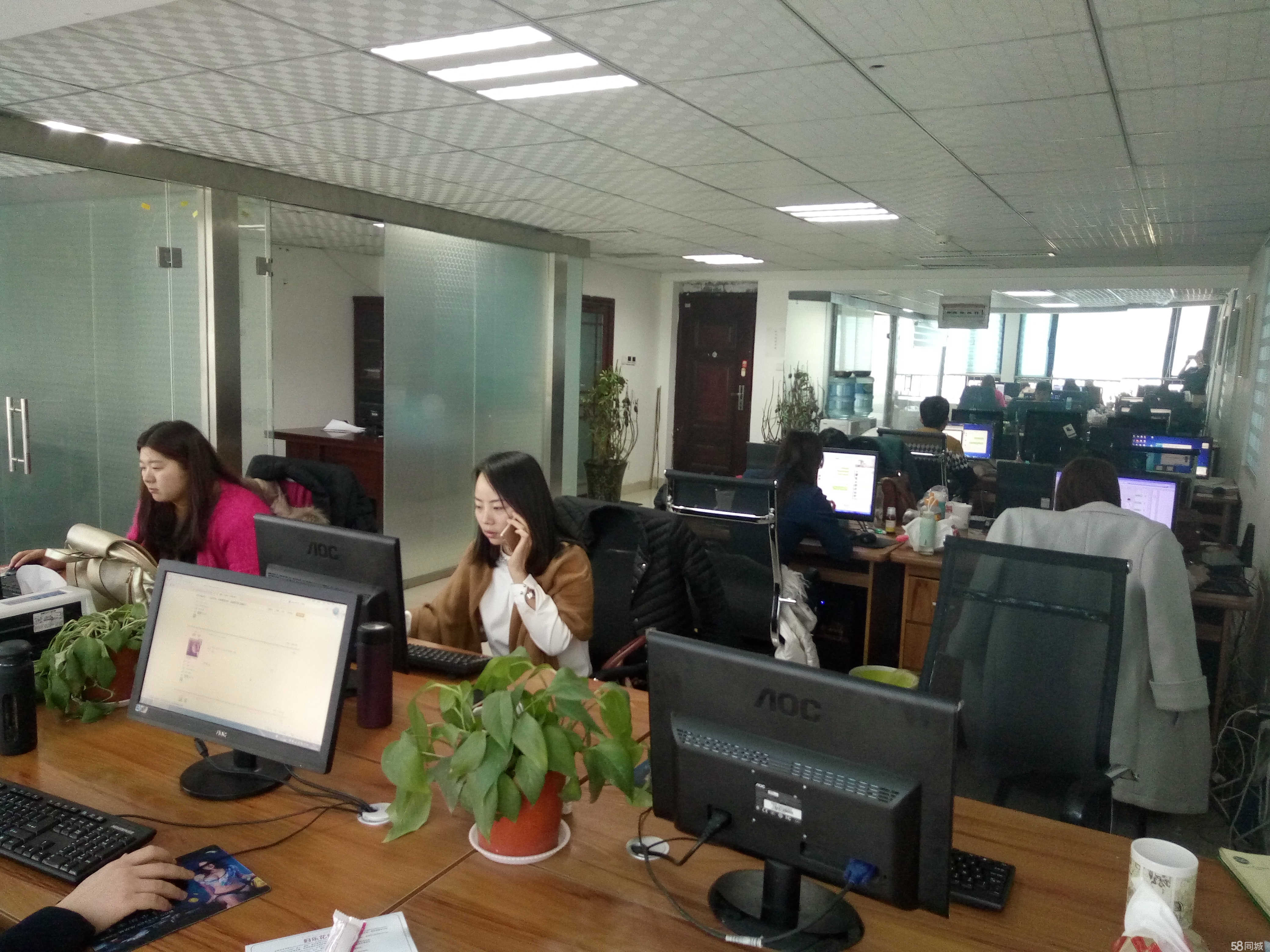 洛阳恩亿电子商务 开启专业商务信息咨询新篇章